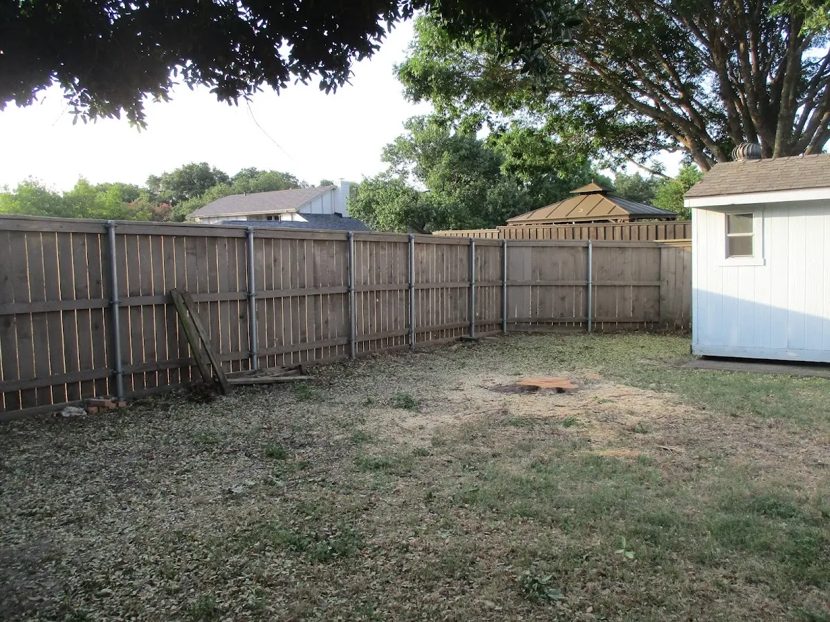 Cleared yard after professional tree removal in Madisonville