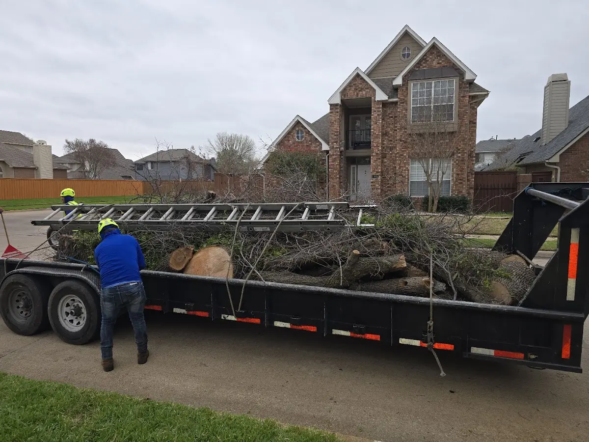 Expert Crown Reduction with proper safety equipment in Madisonville